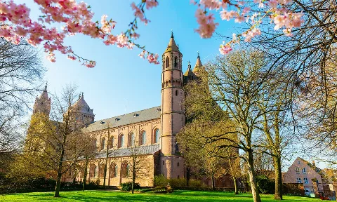 Gebaudereinigung in Worms